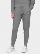 Брюки 4F D4Z20-SPDD303-25M р. XS серый