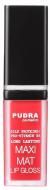 Блиск для губ Pudra Cosmetics Maxi Matt №02 7 мл