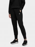 Брюки 4F D4Z20-SPDD303-20S р. L черный