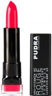 Помада губная Pudra Cosmetics Delicate function 10 4,5 г