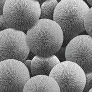 Обои виниловые на флизелиновой основе Sintra Buble 252529 1,06x10,05 м