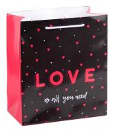 Пакет подарочный Love 24,5x21,5x11 см