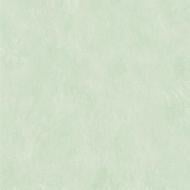 Обои виниловые на флизелиновой основе Sintra Herbarium UNI 253113 1,06x10,05 м