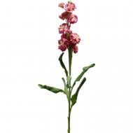 Маттиола 45 см розовая (Украина)