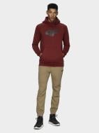 Джемпер 4F D4Z20-BLM306-61S р. S червоний