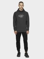 Джемпер 4F D4Z20-BLM306-24S р. M серый