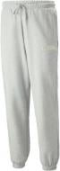 Брюки Puma TEAM SWEATPANTS TR 53826104 р. L серый