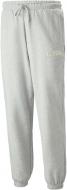 Штани Puma TEAM SWEATPANTS TR 53826104 р. M сірий