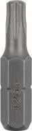 Бита Bosch Torx 25x25 мм 2 шт.