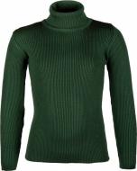 Гольф для дівчинки Flash р.146 зелений 17D909-1601