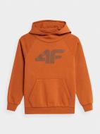 Джемпер 4F SWEATSHIRT M0780 4FJMM00TSWSM0780-82S коричневый Джемпер 4F SWEATSHIRT M0780 4FJMM00TSWSM0780-82S коричневый