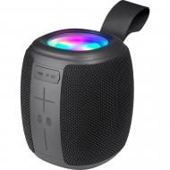 Портативна колонка Defender S550 black (65553)