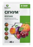 Фунгицид ProtectON Сігнум в.г. (45 гр)