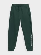 Брюки 4F TROUSERS CAS M534 4FJSS23TTROM534-40S р. 128 зеленый