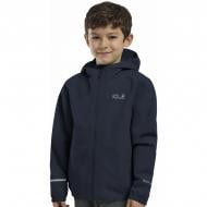 Ветровка для мальчиков весенняя Jack Wolfskin 1609263_C0412 р.176 синий