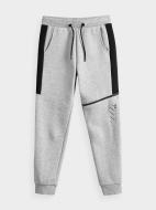 Штани 4F J4Z20-JSPMD203-25M р. 140 сірий