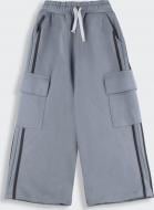 Штани Bembi р.128 сірий 26896706643.X00 Штани Bembi р.128 сірий 26896706643.X00