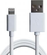 Зарядний пристрій Grand-X CH765LTW + cable USB