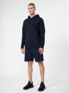 Шорты 4F SHORTS CAS M058 4FSS23TSHOM058-31S р. S синий