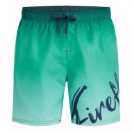 Шорты Firefly Lario M Typo Shaded 430706-665 р. L зеленый Шорты Firefly Lario M Typo Shaded 430706-665 р. L зеленый