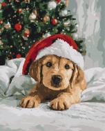 Картина по номерам Пушистый новогодний друг 40x50 см Brushme