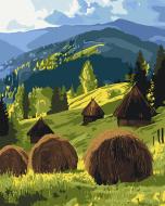 Картина за номерами Сонце над полониною 40x50 см Brushme