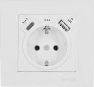Розетка бытовая + USB + Type C с заземлением IP20 белый 20 01 1000 301