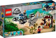 Конструктор LEGO Jurassic World Дилофозавр на свободе 75934