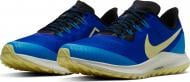 Кроссовки мужские Nike AIR ZOOPEGASUS 36 TRAIL AR5677-400 р.44,5 синие