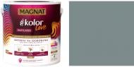 Краска латексная Magnat Kolor Love Mattlatex мат NCS S 5005-B20G 9 л 13,2 кг
