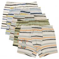 Труси для хлопчика DONI 75873HP р.98-104 в асортименті