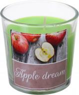 Свеча в стакане SINNLING ароматная в ассортименте