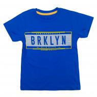 Футболка для мальчика AKKU BRKLYN р.110 голубой 9065