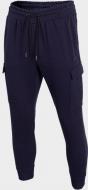Брюки 4F D4Z20-SPMD303-31S р. 2XL синий Брюки 4F D4Z20-SPMD303-31S р. 2XL синий