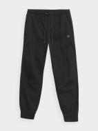 Штани 4F TROUSERS CAS M568 4FSS23TTROM568-20S р. 2XL чорний