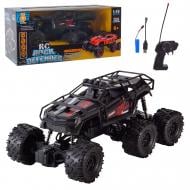 Автомобиль на радиоуправлении Shantou 1:16 699-249 (BLACK)