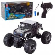 Автомобиль на радиоуправлении Shantou 1:20 699-130 (BLACK)