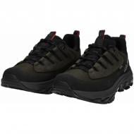 Полуботинки Jack Wolfskin APEX HIKE TEXAPORE LOW M A65570_E0205 р.41 хаки