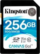 Карта памяти Kingston SDXC 256 ГБ Class 10 (SDG/256GB) UHS-I U3 R90/W45MB/s