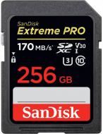 Карта памяти SanDisk SDXC 256 ГБ UHS-I Class 3 (U3) (SDSDXXY-256G-GN4IN) Extreme Pro