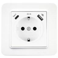 Розетка бытовая + USB + Type C с заземлением IP20 белый матовый 21 29 4001 301