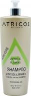 Шампунь ATRICOS профессиональный себорегулирующий Японские цветы 1000 мл