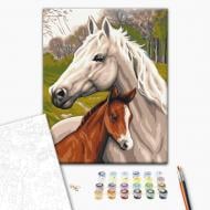 Картина по номерам Семья лошадей 30x40 см Brushme