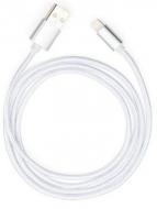 Дата-кабель Vinga USB 2.0 AM – Lightning 1 м сріблястий (VCPDCLNB1S)
