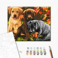 Картина по номерам Три щенка 30x40 см Brushme