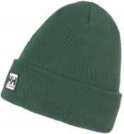 Шапка Helly Hansen URBAN CUFF BEANIE 67154-390 р.os зеленый