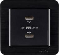 Розетка USB без заземления IP20 черный 21 25 4007 302