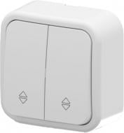 Выключатель проходной двухклавишный Arvia Electric Aria без подсветки белый 25 01 1000 211 Выключатель проходной двухклавишный Arvia Electric Aria без подсветки белый 25 01 1000 211