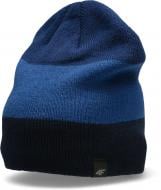 Шапка 4F D4Z20-CAM157-31S р.L синій