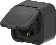 Розетка с крышкой бытовая с заземлением IP20 черный 25 21 1000 218 Розетка с крышкой бытовая с заземлением IP20 черный 25 21 1000 218